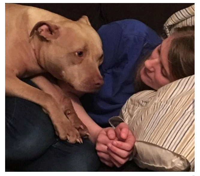 Check Out The Emotional Moment Dogs Comforted Their Owners (Photos)